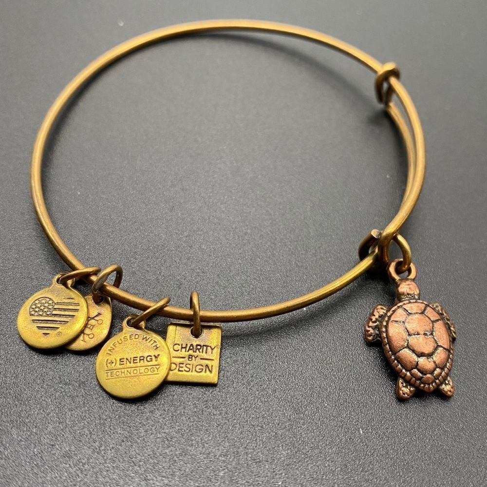 Rare Alex and Ani Gold tone Turtle‎ Bangle Bracelet